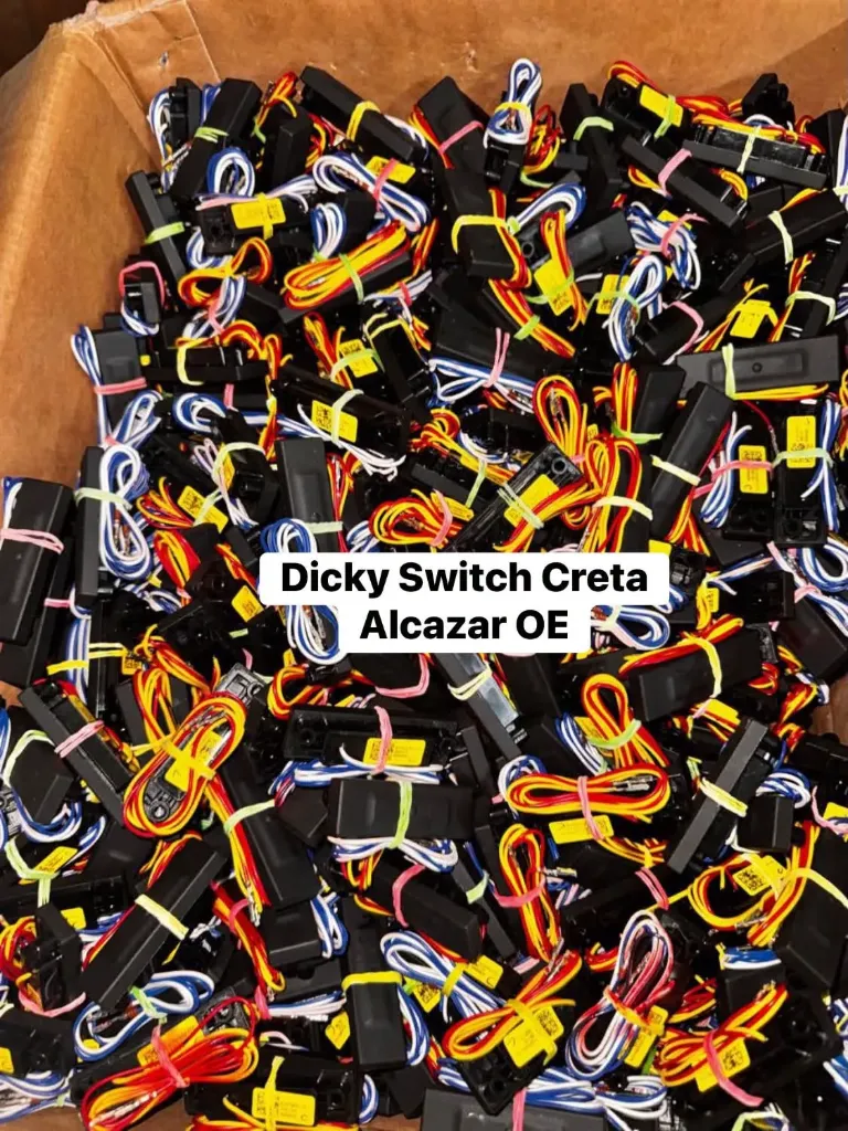 Dicky Switch